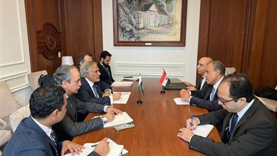 وزيرا الخارجية المصرى والباكستاني يلتقيان في نيويورك ويبحثان تطوير العلاقات الثنائية