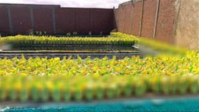 ضبط مصنع غير مرخص لإنتاج الأسمدة والمخصبات المغشوشة بالقليوبية