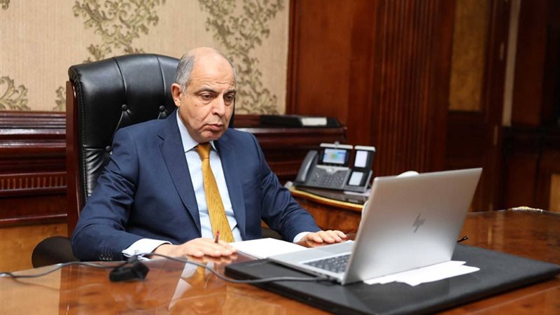 محافظ المنيا يشارك