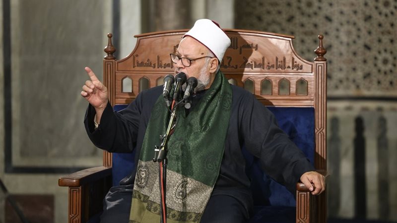 دكتور ابراهيم الهدهد