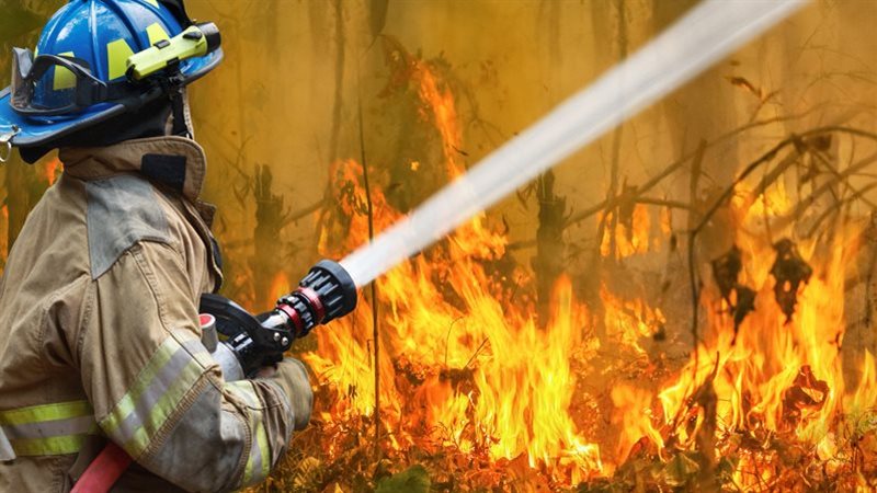 حرائق الغابات