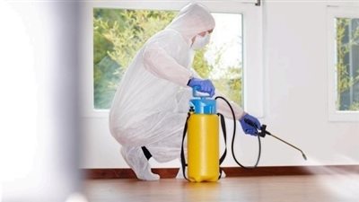 مكافحة الحشرات والقوارض في رمضان وقبل العيد: خطوات الوقاية والتخزين وتنظيف المطبخ دون مبالغة