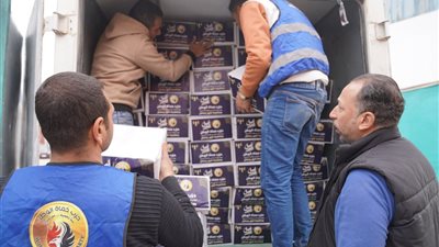 حماة الوطن بسوهاج يوزع آلاف الكراتين من السلع الغذائية