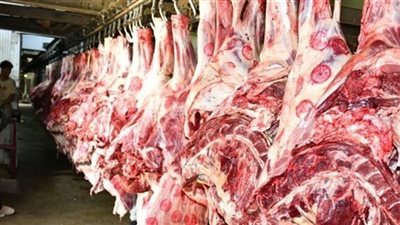 أسعار اللحوم اليوم السبت 21 فبراير 2026