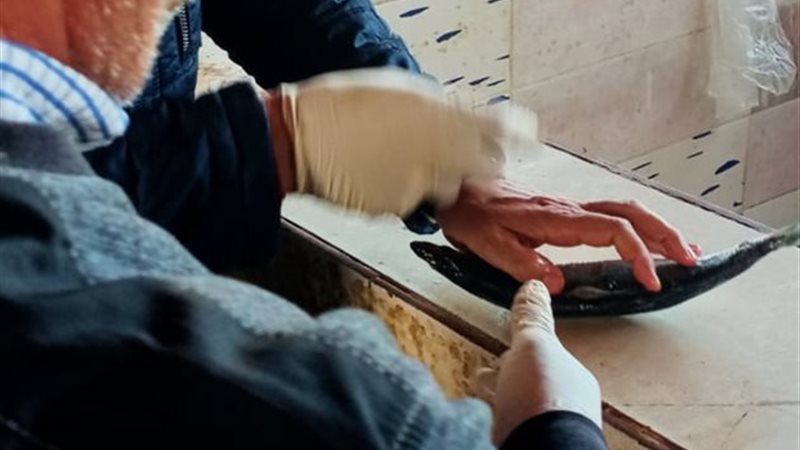 جانب من المضبوطات