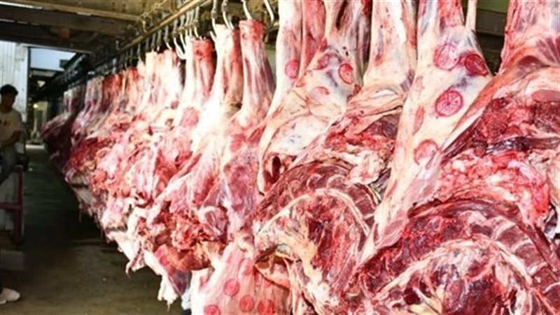 سعر اللحوم الحمراء