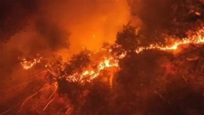 كوريا الجنوبية: إخلاء مناطق سكنية متعددة بسبب نشوب حرائق الغابات