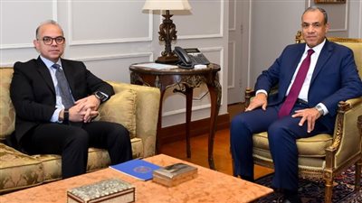 وزيرا الخارجية والاستثمار يبحثان تعزيز التنسيق المشترك لجذب الاستثمارات 