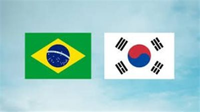 الرئيسان الكوري الجنوبي والبرازيلي يعقدان محادثات قمة غدا الاثنين