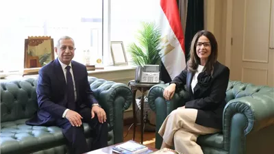 رئيس الأكاديمية العربية ووزيرة الثقافة يبحثان تعزيز سبل التعاون لدعم التنمية