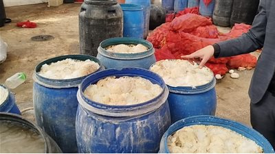 ضبط 12 طن مخللات فاسدة بالسادات في حملة تموينية مكبرة بالمنوفية