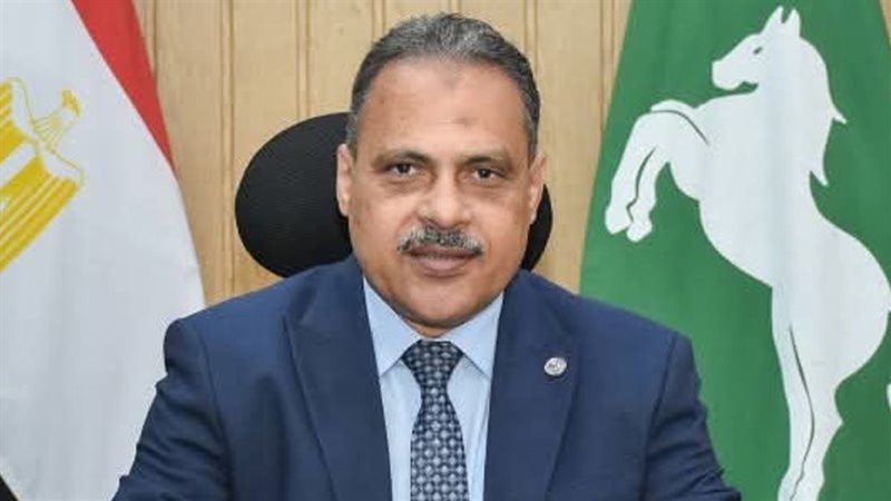 محافظ الشرقية المهندس