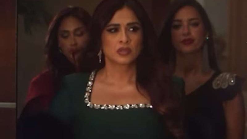 الفنانة ياسمين عبد