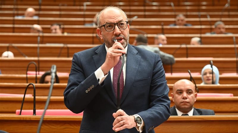 الدكتور حسام المندوه