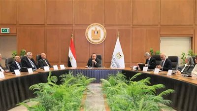 انعقاد الجلسة الإجرائية لجامعة عين شمس الأهلية