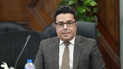  رئيس حزب الوعي: القاهرة والرياض صماما الأمان العربي