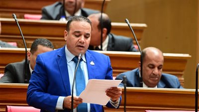 ياسر عرفة: حماية الأطفال من المخاطر الرقمية أصبحت أولوية وطنية