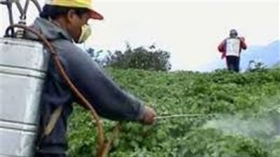 ورشة زراعية لدعم المصدرين وتعزيز الالتزام بتشريعات متبقيات المبيدات الأوروبية