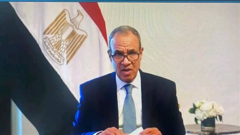 بدر عبد العاطى