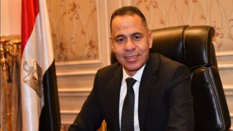 رئيس لجنة انتخابات مهندسي بورسعيد 