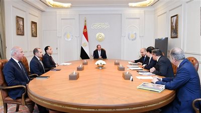 الرئيس السيسي يستقبل رئيس شركة صينية للتعاون في الطاقة المتجددة
