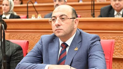 حماة الوطن يقر تعديلا جديدا بقانون الضريبة العقارية برد أي زيادة غير مقرة بالقانون 