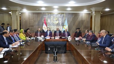 مكي: يترأس المجلس التنفيذي بكفرالشيخ