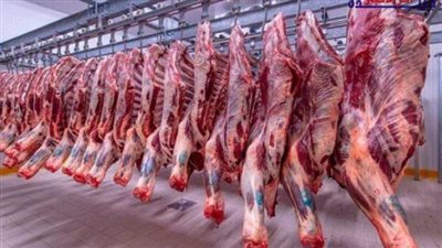 أسعار اللحوم اليوم الخميس 26 فبراير 2026