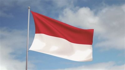 محكمة إندونيسية تقضي بسجن بريطانيين بعد إدانتهما بتهريب الكوكايين إلى جزيرة 