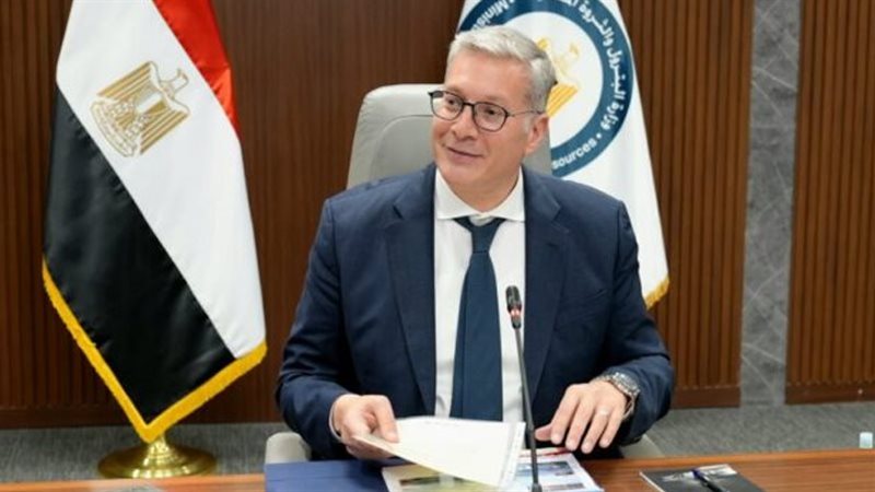 المهندس كريم بدوي