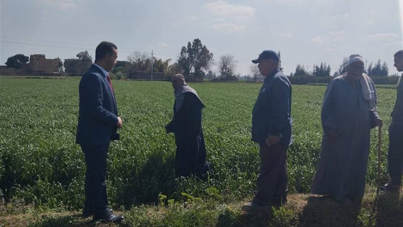 حقول إرشادية 