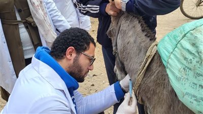 قافلة بيطرية مجانية لدعم صغار المربين بـ