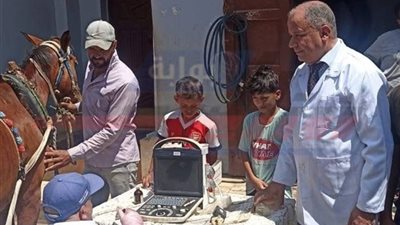 تشخيص وعلاج 3845 رأس ماشية بكفرالشيخ