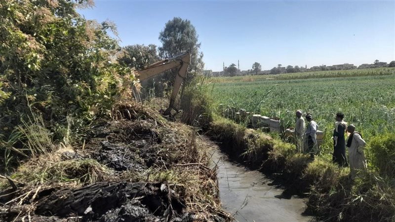 اعمال تطهير