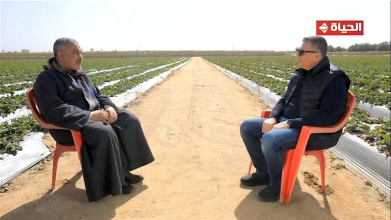 الإعلامي عمرو الليثي