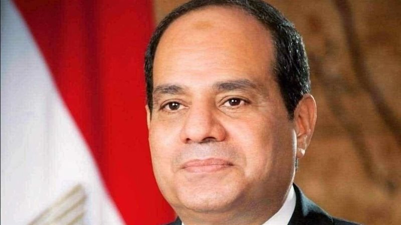 الرئيس عبد الفتاح السيسي رئيس الجمهورية