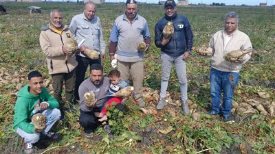 جولة ميدانية لزراعة القنطرة شرق لمتابعة القمح وبنجر السكر والبرسيم