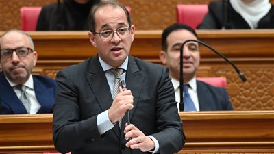 وزير المالية : عرض تيسيرات ضريبية وجمركية جديدة أمام البرلمان قريبا