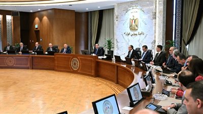 الحكومة تستعد بخطة عمل واضحة لتفعيل وتوسيع أطر التعاون مع دول القارة الأفريقية