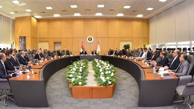 وزيرا الاستثمار والصناعة يجتمعان مع شركات الأدوية والمجلس التصديري للصناعات الدوائية 