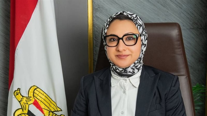 محافظ الوادي الجديد