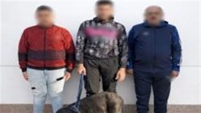 الأمن يكشف ملابسات فيديو اعتداء بسيدة وابنها في الإسكندرية