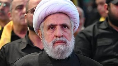 قاسم: المقاومة وسلاحها حق مشروع طالما بقي الاحتلال و