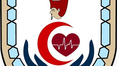 كلية التمريض بجامعة سوهاج تعلن بدء الدراسة بالدراسات العليا وانتظامها بمشاركة 87 باحثا