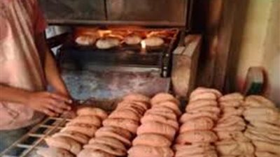 محافظ المنوفية : تحرير 237 محضر مخالفات مخابز وأسواق.. وحملات يومية لضبط المخالفين