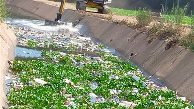 زراعة المنوفية  توافق على ترخيص 161 مشروعا زراعيا  