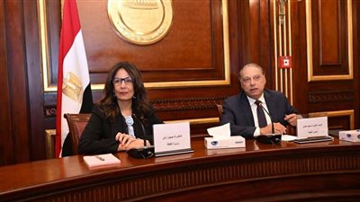 العلاقات الخارجية بمجلس الشيوخ تبحث ملف القوى الناعمة مع وزيرة الثقافة