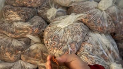 مصادرة 1814 كيلو لحوم ودواجن وإستاكوزا غير صالحة فى الغربية