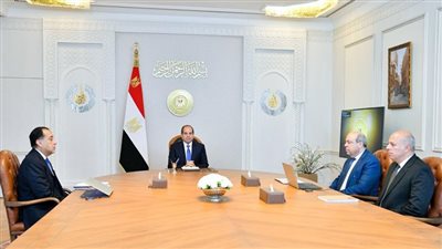 الرئيس السيسي يتابع تطوير المطارات المصرية وخطط تعزيز أسطول مصر للطيران