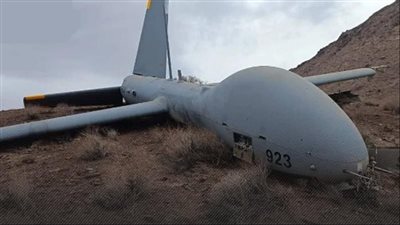 الجيش الإيراني: إسقاط مسيرتين إسرائيليتين من طراز 